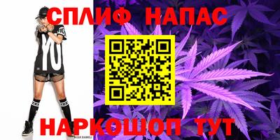 jwh Будённовск