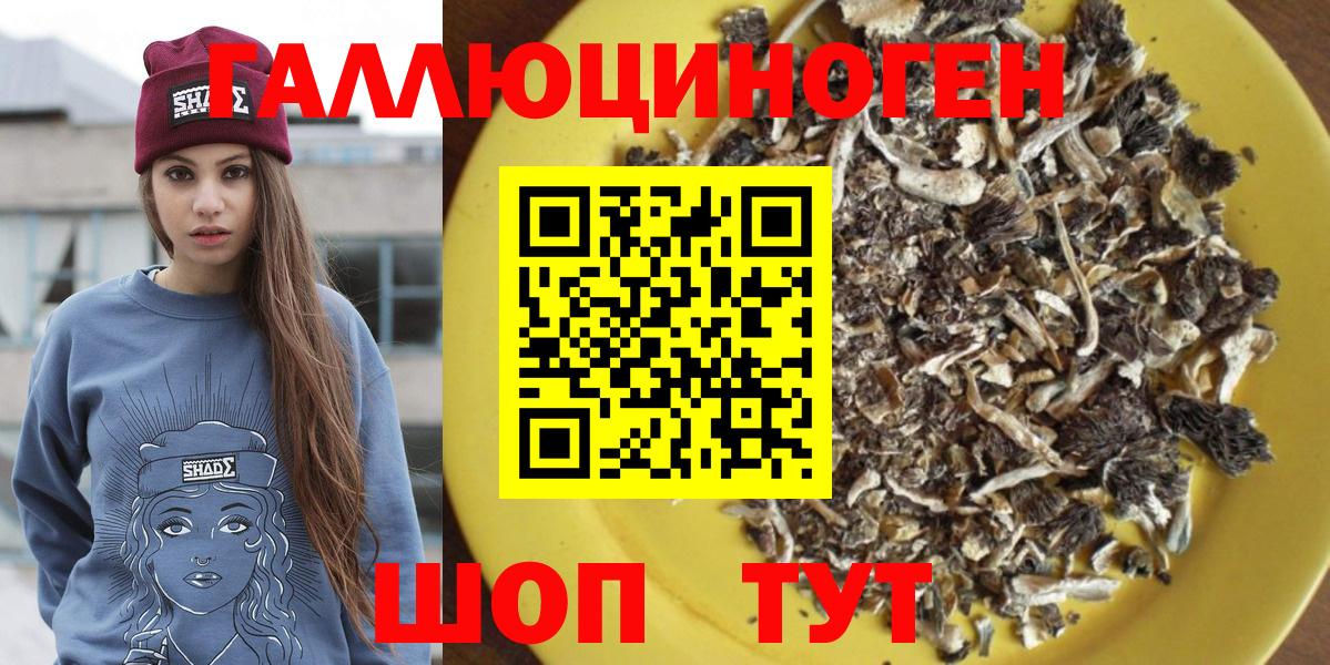 Псилоцибиновые грибы Psilocybine cubensis  Вход с VPN  Асбест 